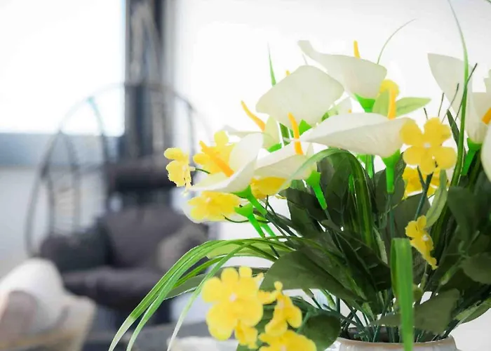 Hercot Canteras Relax Apartment *